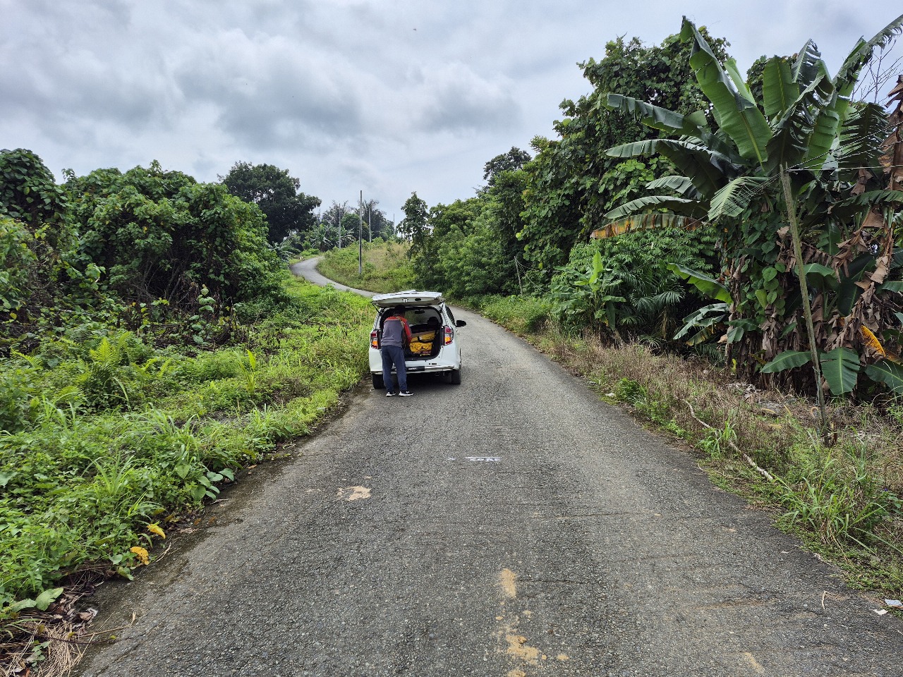 DED Ruas Jalan Batu Besaung ( Samarinda )
